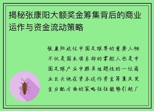 揭秘张康阳大额奖金筹集背后的商业运作与资金流动策略