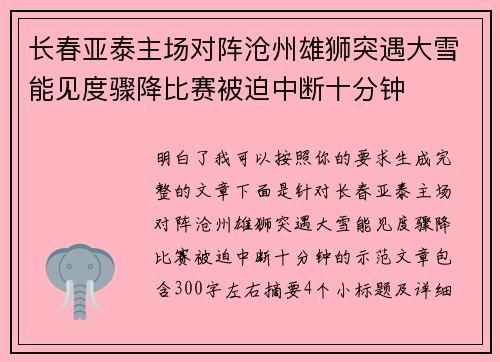 长春亚泰主场对阵沧州雄狮突遇大雪能见度骤降比赛被迫中断十分钟
